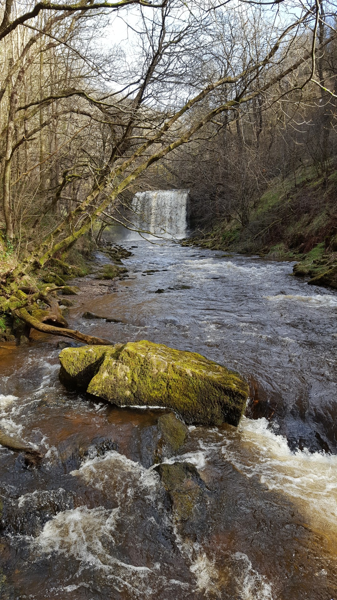 20170302_141923
