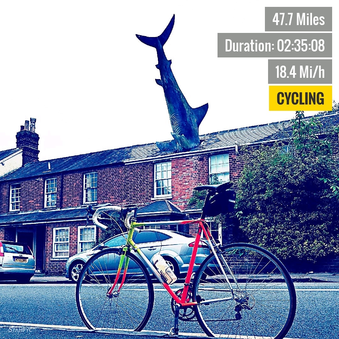 IMG_20180528_111307_450